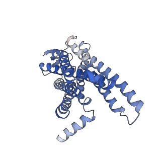 31479_7f6g_A_v1-1
Cryo-EM structure of human angiotensin receptor AT1R in complex Gq proteins and Sar1-AngII