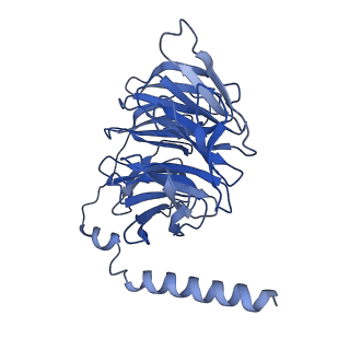 31479_7f6g_C_v1-1
Cryo-EM structure of human angiotensin receptor AT1R in complex Gq proteins and Sar1-AngII
