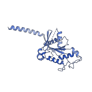 31481_7f6i_B_v1-1
Cryo-EM structure of human bradykinin receptor BK2R in complex Gq proteins and kallidin