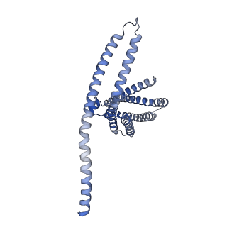 31482_7f6v_A_v1-1
Cryo-EM structure of the human TACAN channel in a closed state