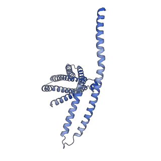 31482_7f6v_B_v1-1
Cryo-EM structure of the human TACAN channel in a closed state