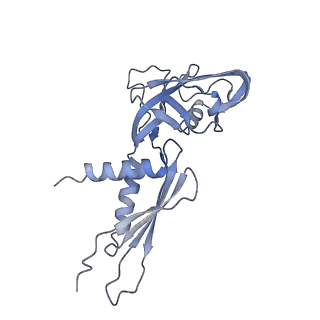 4192_6f6w_A_v1-3
Structure of Mycobacterium smegmatis RNA polymerase core