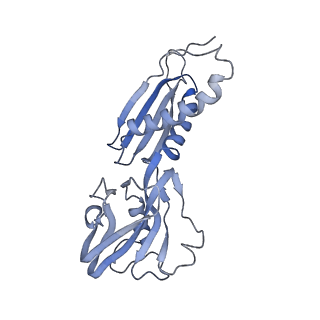 4192_6f6w_B_v1-3
Structure of Mycobacterium smegmatis RNA polymerase core