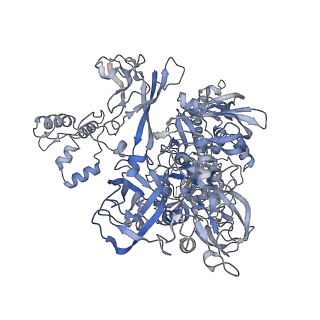 4192_6f6w_C_v1-3
Structure of Mycobacterium smegmatis RNA polymerase core