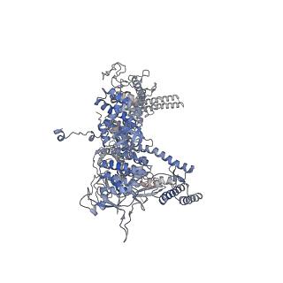 4192_6f6w_D_v1-3
Structure of Mycobacterium smegmatis RNA polymerase core