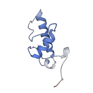 4192_6f6w_E_v1-3
Structure of Mycobacterium smegmatis RNA polymerase core