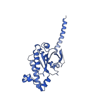 28896_8f76_X_v1-1
Human olfactory receptor OR51E2 bound to propionate in complex with miniGs399