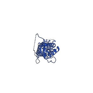 28901_8f7b_A_v1-2
LRRC8A(T48D):C conformation 2 top focus