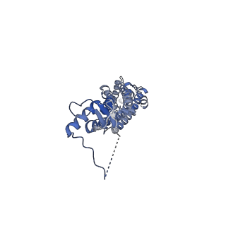 28901_8f7b_D_v1-2
LRRC8A(T48D):C conformation 2 top focus