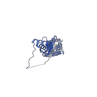 28901_8f7b_E_v1-2
LRRC8A(T48D):C conformation 2 top focus