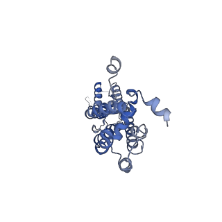 28902_8f7c_A_v1-0
Cryo-EM structure of human pannexin 2
