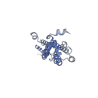 28902_8f7c_B_v1-0
Cryo-EM structure of human pannexin 2
