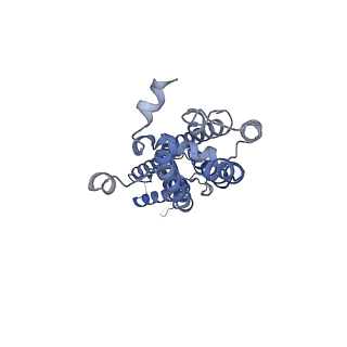 28902_8f7c_C_v1-0
Cryo-EM structure of human pannexin 2