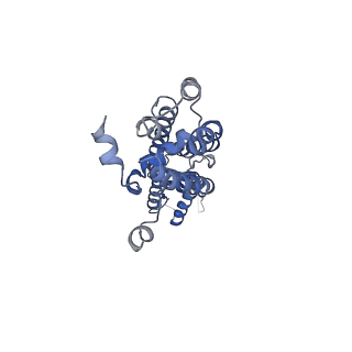 28902_8f7c_D_v1-0
Cryo-EM structure of human pannexin 2