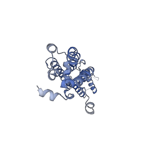 28902_8f7c_E_v1-0
Cryo-EM structure of human pannexin 2