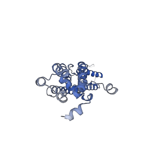 28902_8f7c_F_v1-0
Cryo-EM structure of human pannexin 2