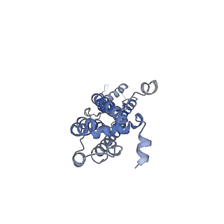 28902_8f7c_G_v1-0
Cryo-EM structure of human pannexin 2