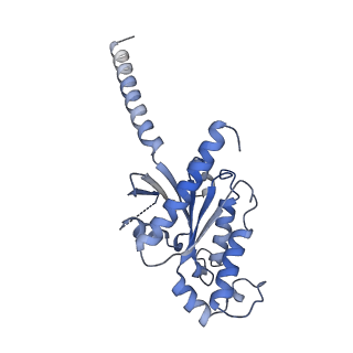 28908_8f7r_A_v1-2
Gi bound mu-opioid receptor in complex with endomorphin