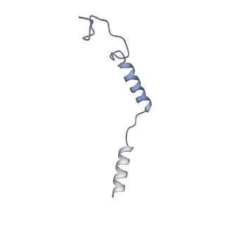 28908_8f7r_C_v1-2
Gi bound mu-opioid receptor in complex with endomorphin