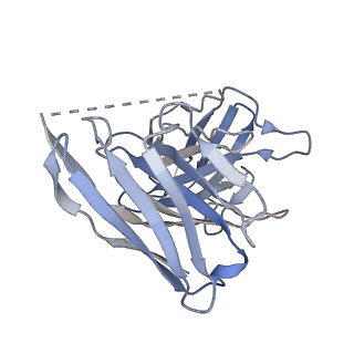 28908_8f7r_E_v1-2
Gi bound mu-opioid receptor in complex with endomorphin