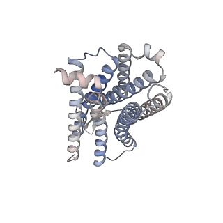 28908_8f7r_M_v1-2
Gi bound mu-opioid receptor in complex with endomorphin