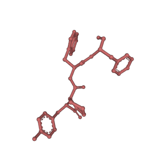 28908_8f7r_P_v1-2
Gi bound mu-opioid receptor in complex with endomorphin