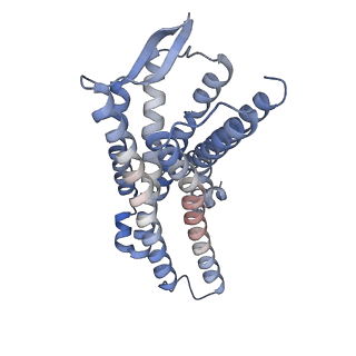 28908_8f7r_R_v1-2
Gi bound mu-opioid receptor in complex with endomorphin