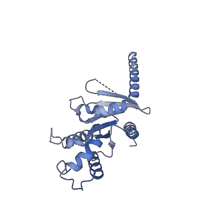 28909_8f7s_A_v1-2
Gi bound delta-opioid receptor in complex with deltorphin