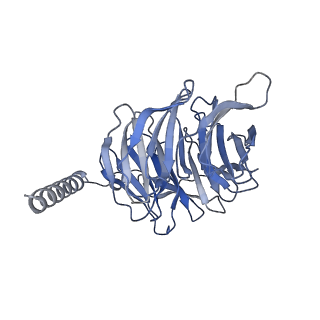28909_8f7s_B_v1-2
Gi bound delta-opioid receptor in complex with deltorphin