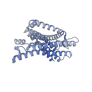 28909_8f7s_R_v1-2
Gi bound delta-opioid receptor in complex with deltorphin