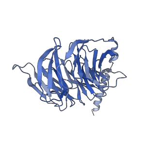28911_8f7w_B_v1-2
Gi bound kappa-opioid receptor in complex with dynorphin