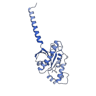 28912_8f7x_A_v1-2
Gi bound nociceptin receptor in complex with nociceptin peptide