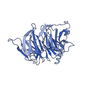 28912_8f7x_B_v1-2
Gi bound nociceptin receptor in complex with nociceptin peptide