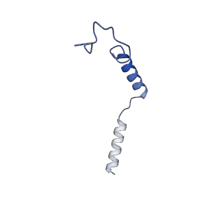 28912_8f7x_C_v1-2
Gi bound nociceptin receptor in complex with nociceptin peptide