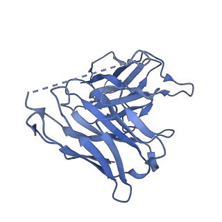 28912_8f7x_E_v1-2
Gi bound nociceptin receptor in complex with nociceptin peptide