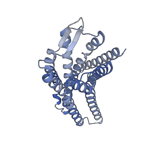 28912_8f7x_R_v1-2
Gi bound nociceptin receptor in complex with nociceptin peptide