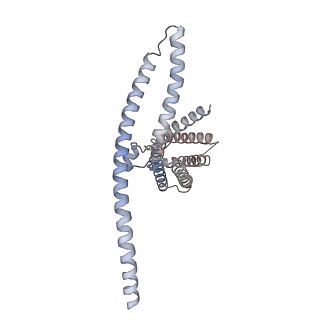 31484_7f73_A_v1-1
Cryo-EM structure of human TMEM120B