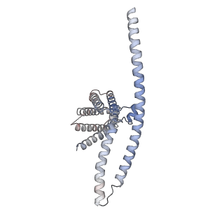 31484_7f73_B_v1-1
Cryo-EM structure of human TMEM120B