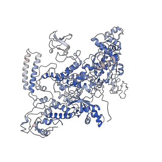 31485_7f75_D_v1-1
Cryo-EM structure of Spx-dependent transcription activation complex