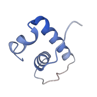 31485_7f75_E_v1-1
Cryo-EM structure of Spx-dependent transcription activation complex