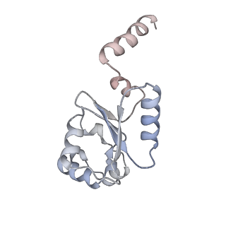 31485_7f75_G_v1-1
Cryo-EM structure of Spx-dependent transcription activation complex