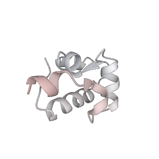 31485_7f75_I_v1-1
Cryo-EM structure of Spx-dependent transcription activation complex