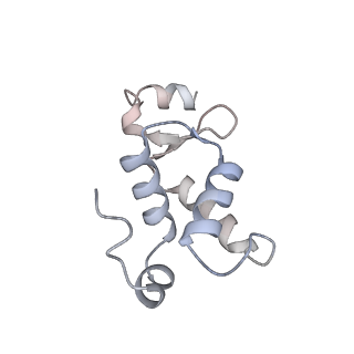 31485_7f75_L_v1-1
Cryo-EM structure of Spx-dependent transcription activation complex