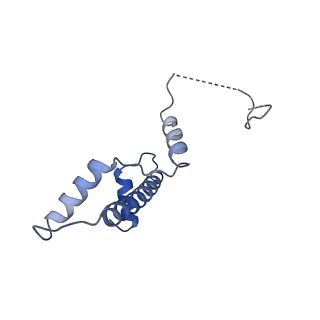 28915_8f86_A_v1-0
SIRT6 bound to an H3K9Ac nucleosome
