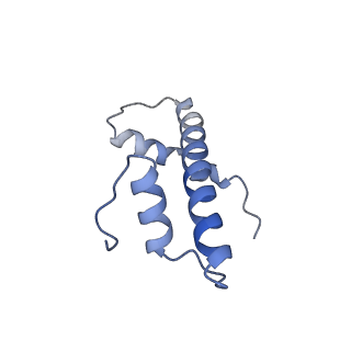 28915_8f86_B_v1-0
SIRT6 bound to an H3K9Ac nucleosome