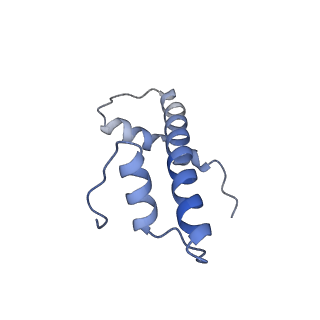 28915_8f86_B_v1-1
SIRT6 bound to an H3K9Ac nucleosome