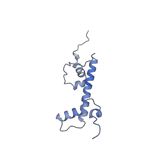 28915_8f86_C_v1-0
SIRT6 bound to an H3K9Ac nucleosome