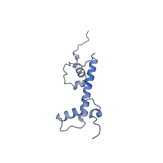 28915_8f86_C_v1-1
SIRT6 bound to an H3K9Ac nucleosome