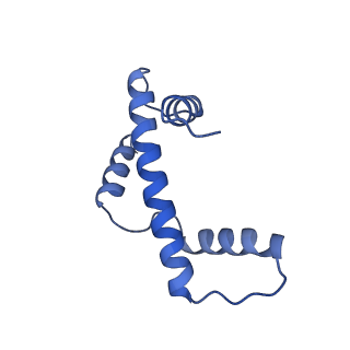 28915_8f86_E_v1-1
SIRT6 bound to an H3K9Ac nucleosome