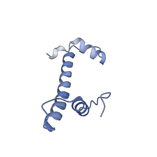 28915_8f86_F_v1-0
SIRT6 bound to an H3K9Ac nucleosome